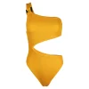 SAME Celine Cut Out One Piece- Under $100