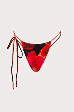 SAME String Bottom-Women Under $100 | Women